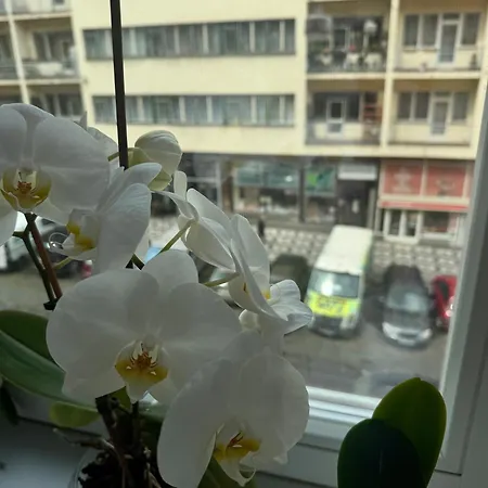 23 * Praga